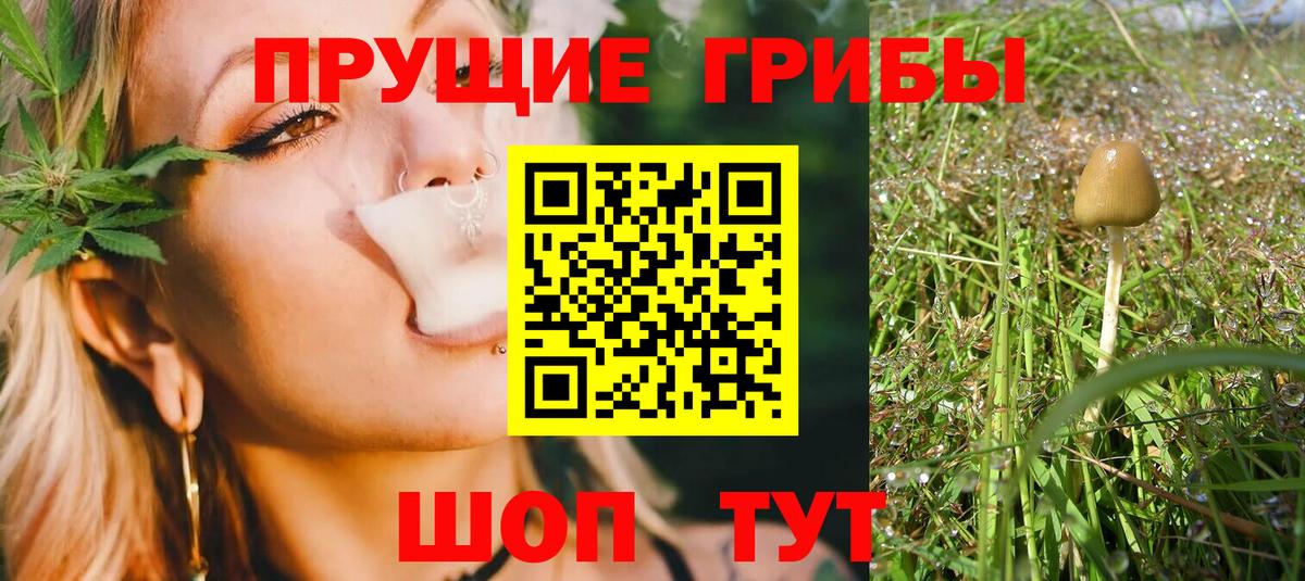 Галлюциногенные грибы Cubensis  Вход с VPN  Семёнов 