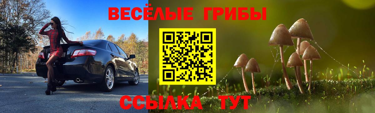 Псилоцибиновые грибы Cubensis Семёнов